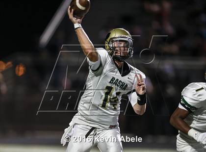 Thumbnail 3 in Basha @ Pinnacle photogallery.