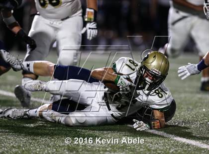 Thumbnail 3 in Basha @ Pinnacle photogallery.