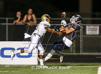 Thumbnail 1 in Basha @ Pinnacle photogallery.