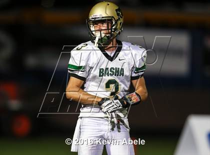 Thumbnail 2 in Basha @ Pinnacle photogallery.