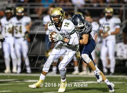 Thumbnail 3 in Basha @ Pinnacle photogallery.