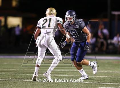 Thumbnail 3 in Basha @ Pinnacle photogallery.
