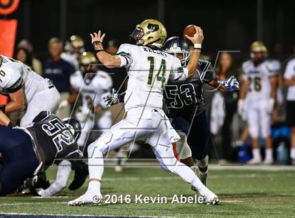 Thumbnail 3 in Basha @ Pinnacle photogallery.