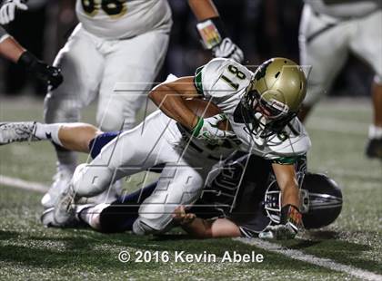 Thumbnail 2 in Basha @ Pinnacle photogallery.