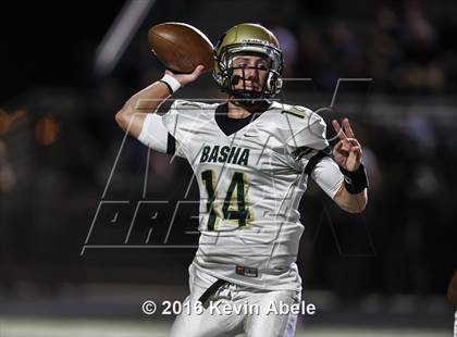Thumbnail 2 in Basha @ Pinnacle photogallery.