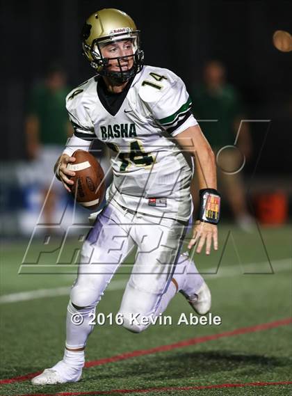 Thumbnail 1 in Basha @ Pinnacle photogallery.