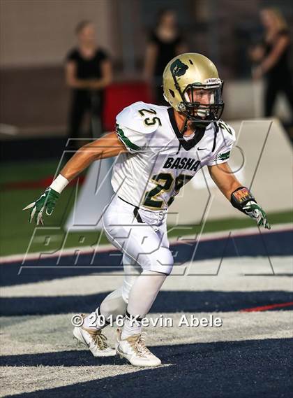 Thumbnail 2 in Basha @ Pinnacle photogallery.