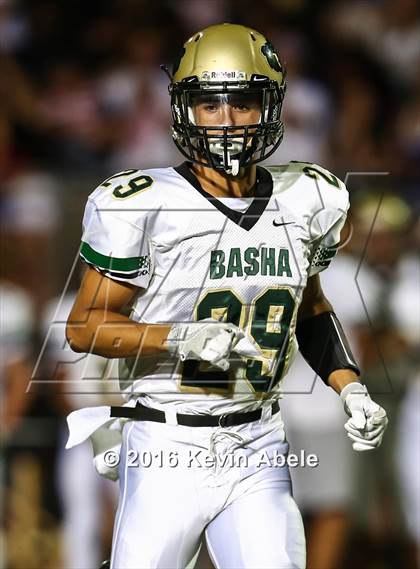 Thumbnail 1 in Basha @ Pinnacle photogallery.