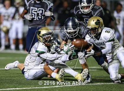Thumbnail 3 in Basha @ Pinnacle photogallery.