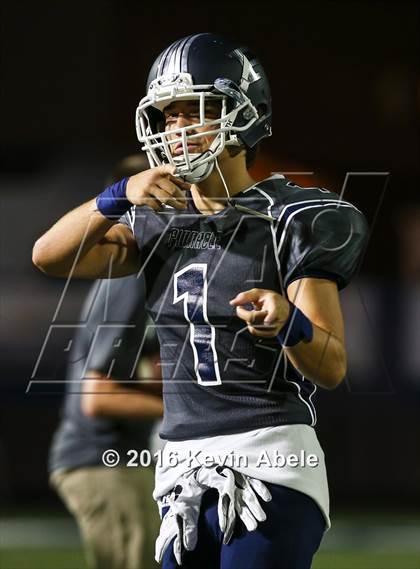 Thumbnail 3 in Basha @ Pinnacle photogallery.