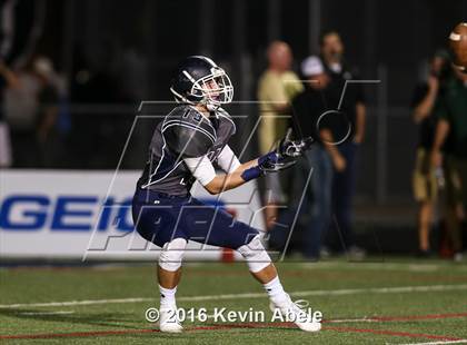 Thumbnail 3 in Basha @ Pinnacle photogallery.