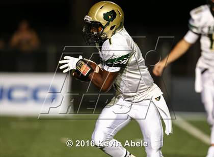 Thumbnail 1 in Basha @ Pinnacle photogallery.