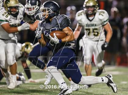 Thumbnail 1 in Basha @ Pinnacle photogallery.