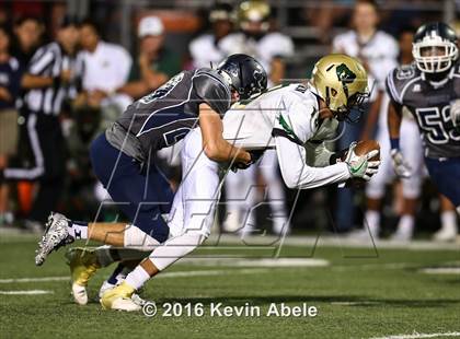 Thumbnail 3 in Basha @ Pinnacle photogallery.
