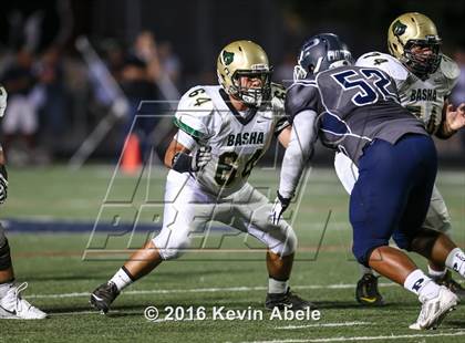 Thumbnail 2 in Basha @ Pinnacle photogallery.