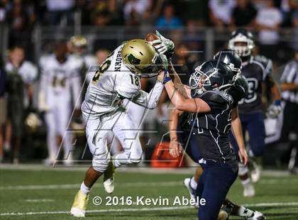 Thumbnail 3 in Basha @ Pinnacle photogallery.