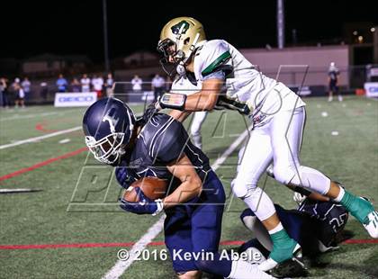 Thumbnail 3 in Basha @ Pinnacle photogallery.