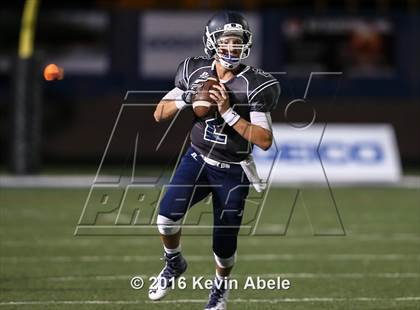 Thumbnail 2 in Basha @ Pinnacle photogallery.