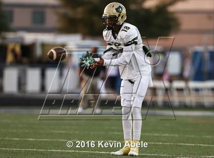 Thumbnail 1 in Basha @ Pinnacle photogallery.