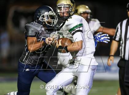 Thumbnail 2 in Basha @ Pinnacle photogallery.