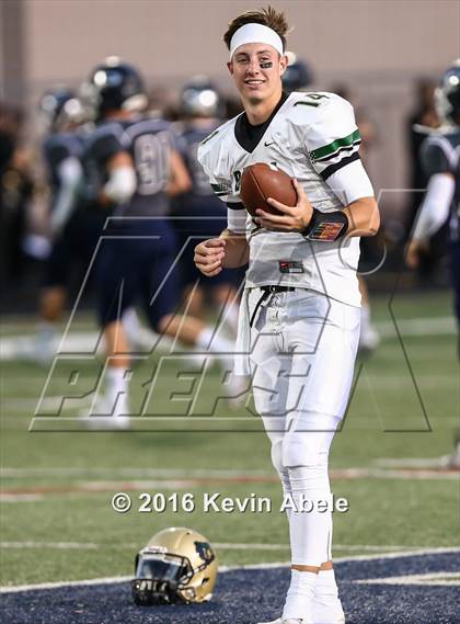 Thumbnail 3 in Basha @ Pinnacle photogallery.