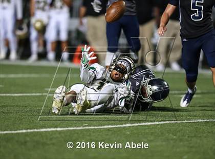 Thumbnail 1 in Basha @ Pinnacle photogallery.