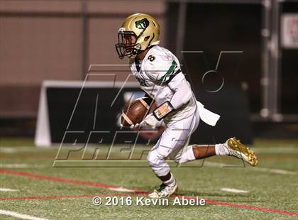 Thumbnail 3 in Basha @ Pinnacle photogallery.