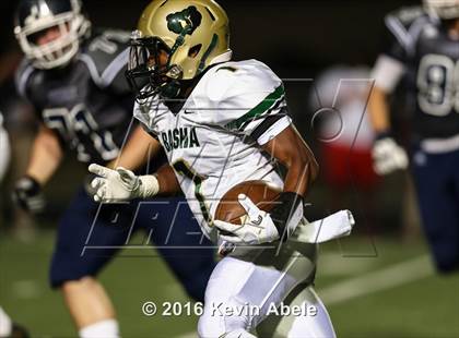 Thumbnail 2 in Basha @ Pinnacle photogallery.
