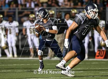 Thumbnail 2 in Basha @ Pinnacle photogallery.
