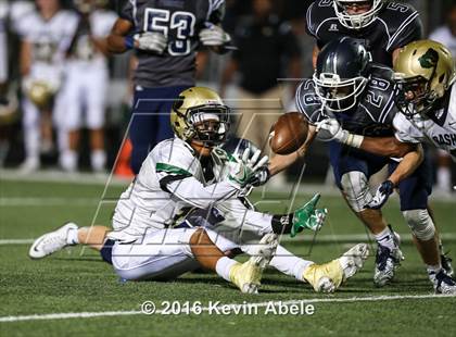 Thumbnail 2 in Basha @ Pinnacle photogallery.