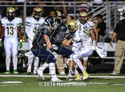 Thumbnail 1 in Basha @ Pinnacle photogallery.