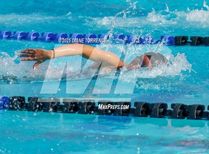 Thumbnail 3 in Pacific Coast League Timed Finals photogallery.