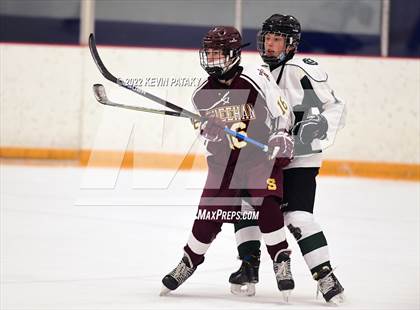 Thumbnail 1 in Sheehan @ Guilford photogallery.