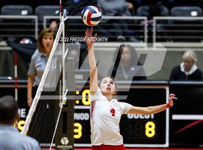 Thumbnail 1 in Randall vs. Hargrave (UIL 4A Semifinal) photogallery.