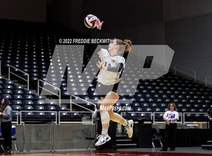Thumbnail 2 in Randall vs. Hargrave (UIL 4A Semifinal) photogallery.