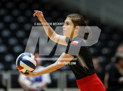 Thumbnail 1 in Randall vs. Hargrave (UIL 4A Semifinal) photogallery.