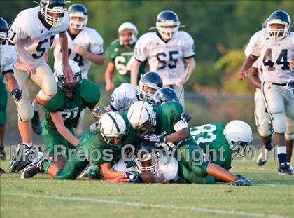 Thumbnail 3 in Clover @ Ashbrook photogallery.