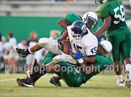 Thumbnail 3 in Clover @ Ashbrook photogallery.