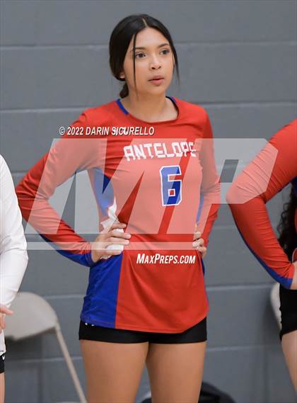 Thumbnail 3 in Antelope vs Globe (Epic Tourneys Volleyball Invite) photogallery.