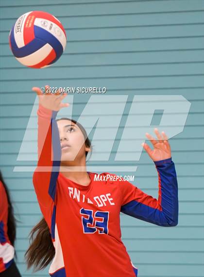 Thumbnail 3 in Antelope vs Globe (Epic Tourneys Volleyball Invite) photogallery.