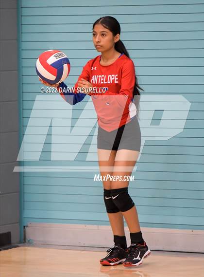 Thumbnail 2 in Antelope vs Globe (Epic Tourneys Volleyball Invite) photogallery.