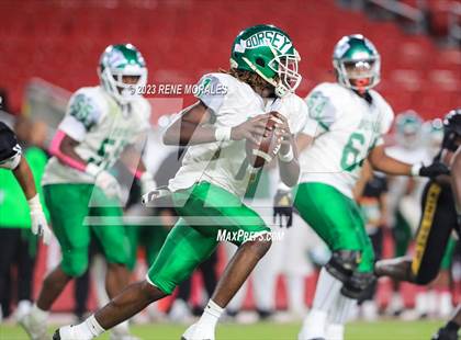Thumbnail 1 in Dorsey vs King/Drew photogallery.