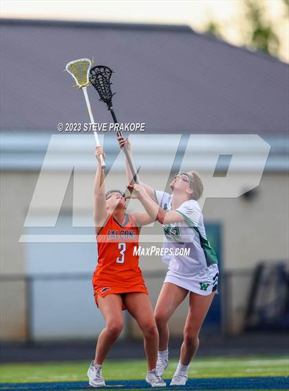 Thumbnail 1 in Briar Woods @ Woodgrove photogallery.