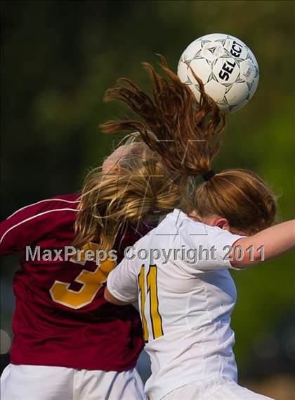 Thumbnail 3 in Weymouth @ Needham photogallery.