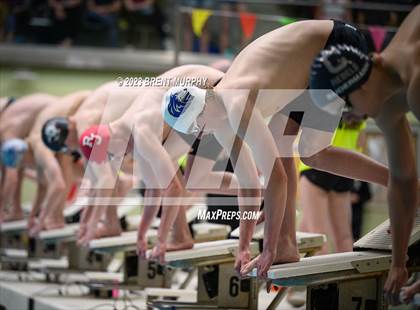Thumbnail 1 in CHSAA 5A Boys Swimming - State Championship photogallery.