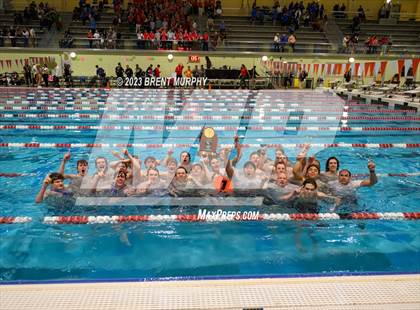 Thumbnail 2 in CHSAA 5A Boys Swimming - State Championship photogallery.