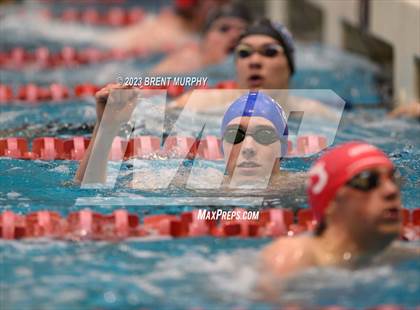 Thumbnail 1 in CHSAA 5A Boys Swimming - State Championship photogallery.