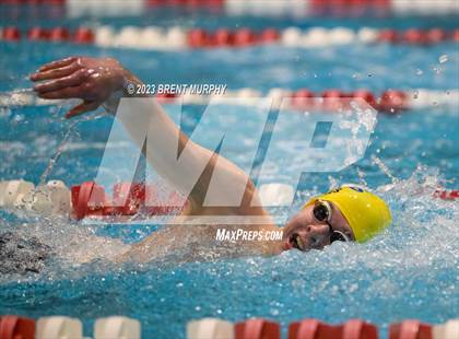 Thumbnail 1 in CHSAA 5A Boys Swimming - State Championship photogallery.
