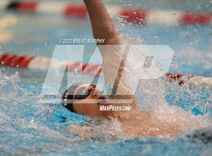 Thumbnail 1 in CHSAA 5A Boys Swimming - State Championship photogallery.