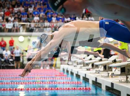 Thumbnail 3 in CHSAA 5A Boys Swimming - State Championship photogallery.